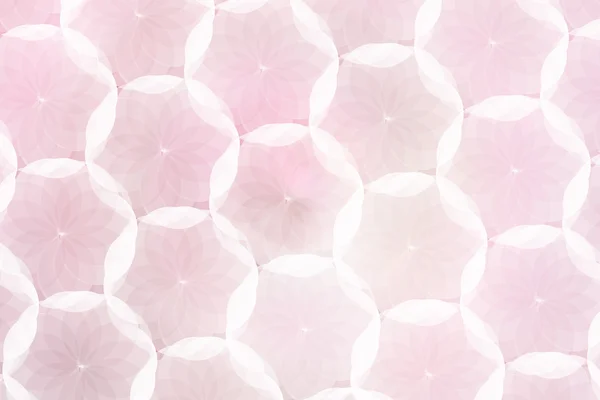 Abstract circle and color background, pink and white. — Stock Photo, Image
