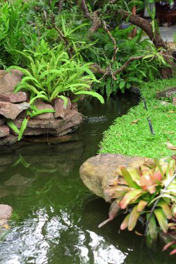 Güzel bahçe dekorasyon, su birikintisi çevrili.