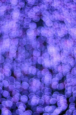 Soyut ışık bokeh Noel arka plan defocused 