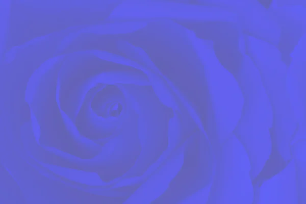 Θολή μπλε τριαντάφυλλο αφηρημένα φόντο. — Φωτογραφία Αρχείου