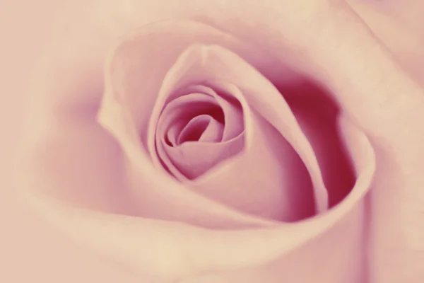 Verschwommener Vintage Rose Hintergrund. — Stockfoto