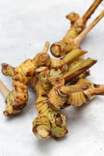 Galangal root on metal tray. — Stock Photo, Image