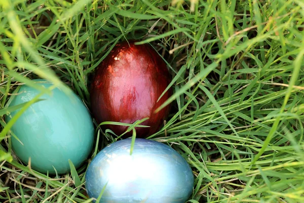 Colorful easter eggs hidden in dense grasses. — Stock Photo, Image