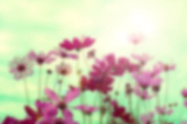 Blurred flower fields background, retro style color. — Stock Photo, Image