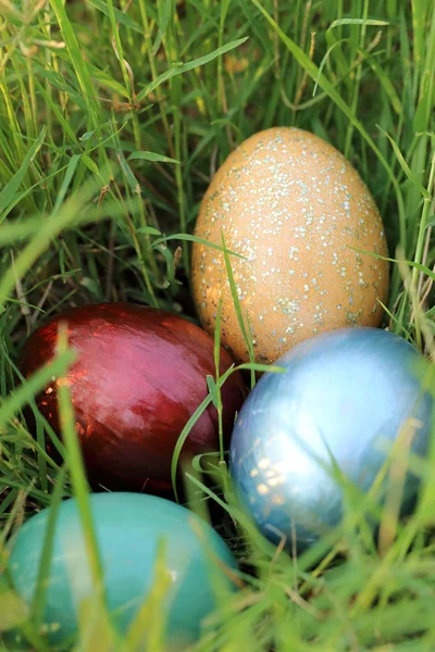 Colorful easter eggs hidden in dense grasses. Spring holidays co — Stock Photo, Image