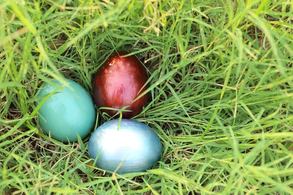 Colorful easter eggs hidden in dense grasses. Spring holidays co — Stock Photo, Image