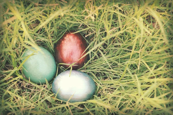 Vintage paper textures, Colorful easter eggs hidden in dense gra — Stock Photo, Image