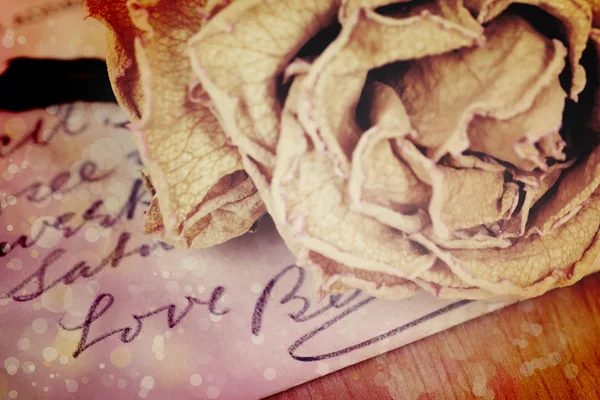 Close up van droge rose en liefde woord geschreven op kaart. Zacht licht een — Stockfoto