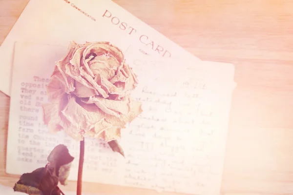 Trockene Rose und alte Postkarte. sanftes Licht und Flare-Effekt, Jahrgang — Stockfoto