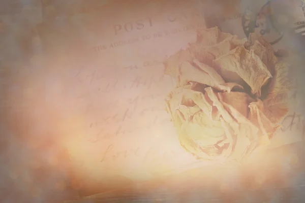 Száraz rózsa és a régi képeslap a kézzel írott. Lencse fényfolt és a bokeh — Stock Fotó