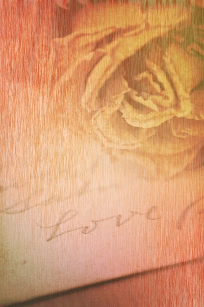 Close up de rosa seca e palavra de amor escrito no cartão. Luz suave v Imagem De Stock
