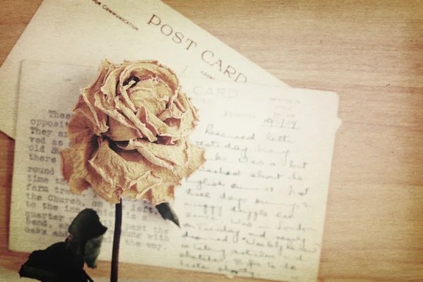 Rosa seca e velho cartão postal com manuscrito. luz suave vintage s Imagem De Stock