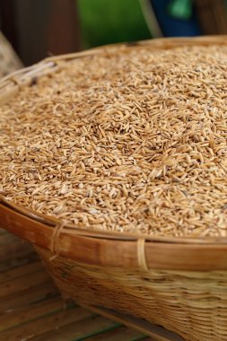 Pirinç kabuğu, paddy, hasır bambu sepet unmilled pirinç,