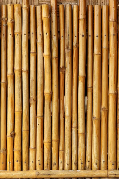 Golden bambù recinzione sfondo . — Foto Stock