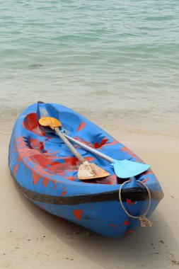 Canue veya sahilde kayık.
