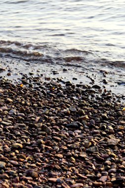 Deniz çakıl - çakıl plaj güneş ışığı altında seçici odak.