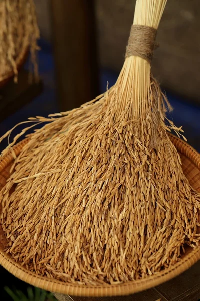 Arroz en las cáscaras, arroz sin moler en canasta de bambú de mimbre . — Foto de Stock