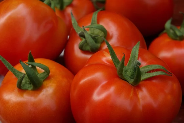 Grupo de tomates rojos. — Foto de Stock