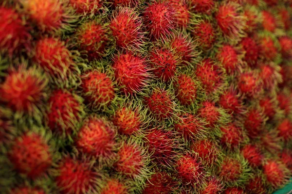 Close up for Tropical Fruits Rambutan for background, selective — Stock Photo, Image