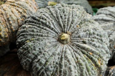 Markette taze kabak yakın çekim