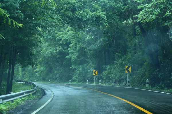 Yağmur sonra ormandaki ıslak yol.
