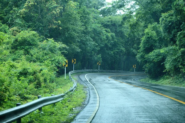 Yağmur sonra ormandaki ıslak yol.