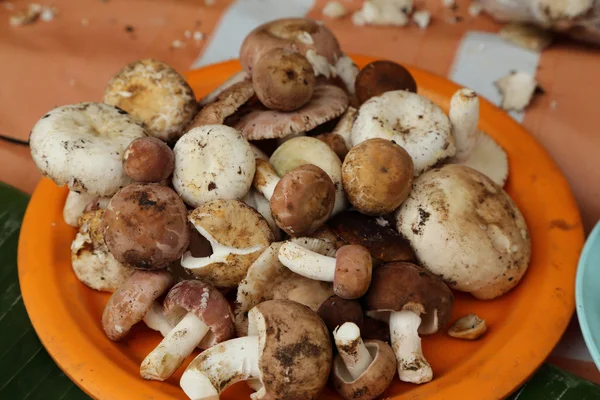 Wild mushroom verkopen in markt thailand. — Stockfoto