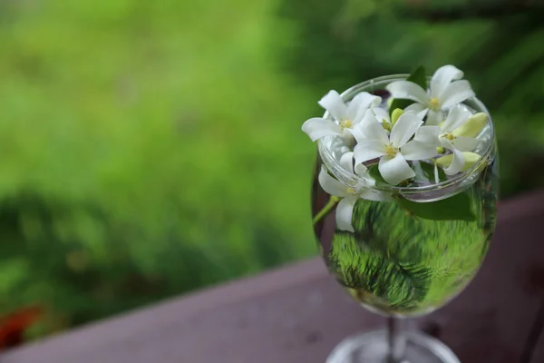 Pequeñas flores blancas, Jessamina naranja, en jarrón de vidrio . —  Fotos de Stock