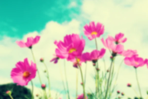Suddig blomma fälten bakgrund, retro stil färg. — Stockfoto