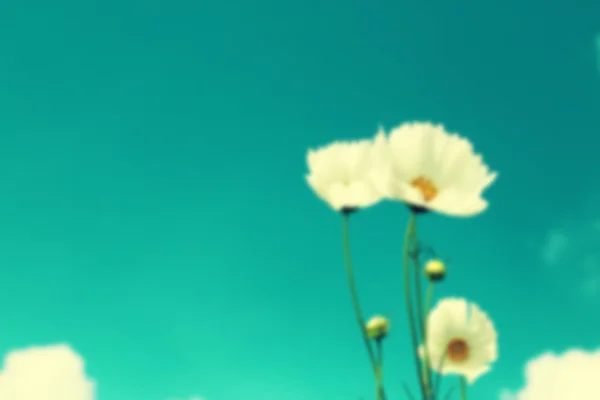 Verschwommene Blumenfelder Hintergrund, Farbe im Retro-Stil. — Stockfoto