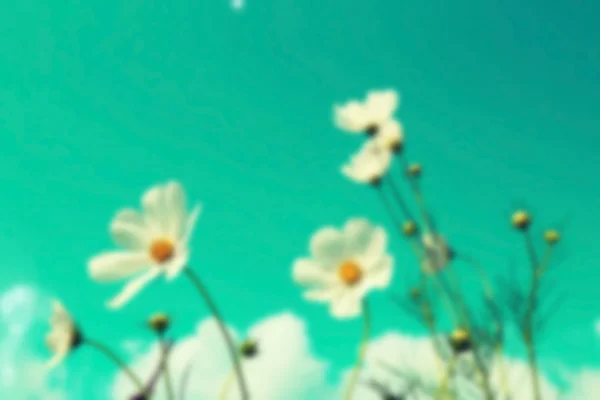 Wazig bloem velden achtergrond, retro stijl kleur. — Stockfoto