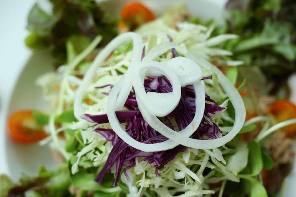 Detail čerstvého zeleninového salátu. — Stock fotografie
