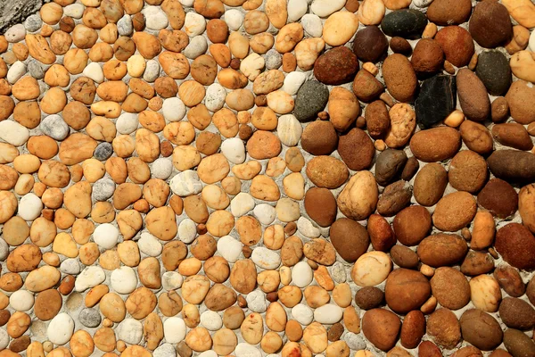Textura de fondo del suelo de piedra . —  Fotos de Stock