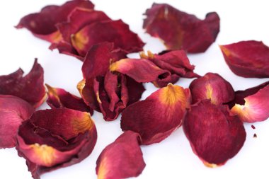 Whithered gül yaprakları beyaz arka plan üzerinde.