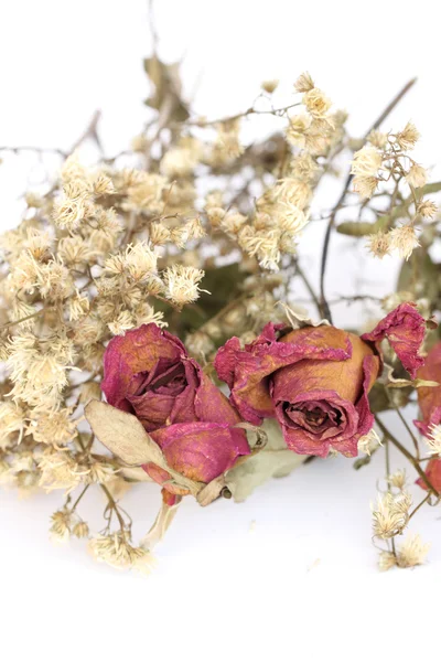 Rosas entrelazadas sobre fondo blanco . —  Fotos de Stock