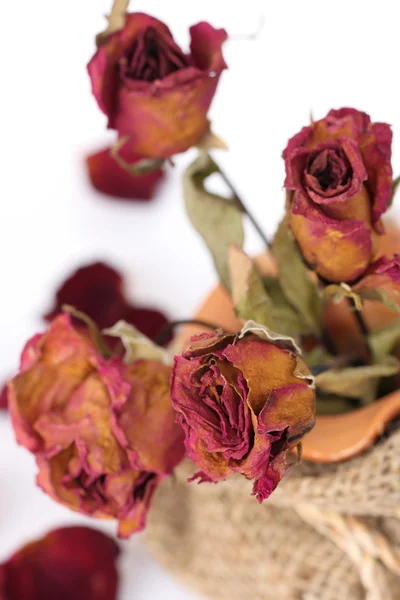 Close up van gedroogde verdorde rozen boeket. — Stockfoto