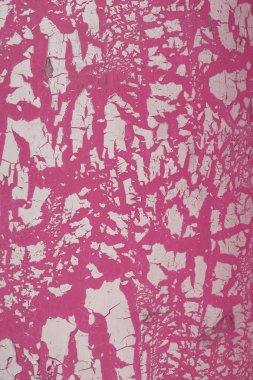 Duvar, grunge arka plan boyalı Pinkwhite.