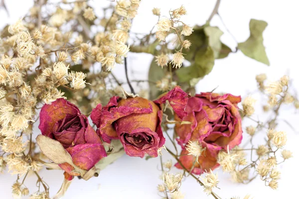 Whithered flowers on white background. — Stock Photo, Image