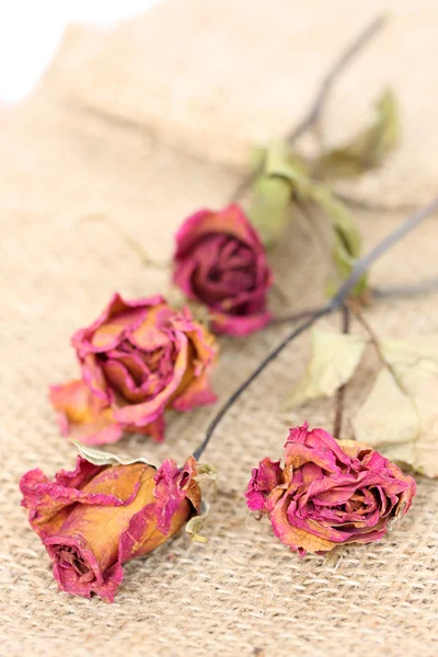 Rosas entrelazadas sobre fondo de saco . — Foto de Stock