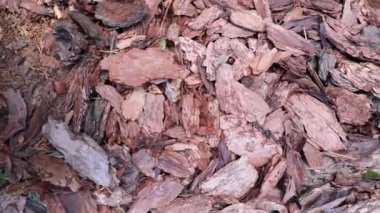 Kabuk gübresi. Dekoratif ağaç kabuğu. Süslü bahçe için kahverengi çipler kabuk parçacıkları