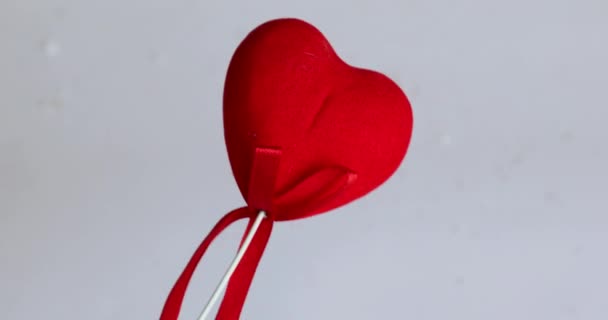 Kärleksdag Alla Hjärtans Dag Ett Enda Rött Hjärta Vit Isolerad — Stockvideo