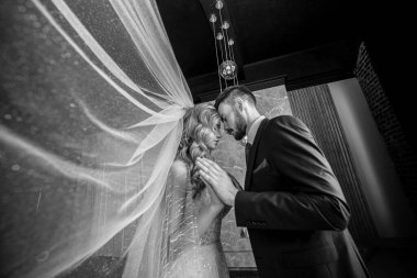 Güzel bir düğün çifti. Gelin, uzun beyaz peçeli ve gelinlikli. Şık takım elbiseli bir damat. karanlık iç mekan