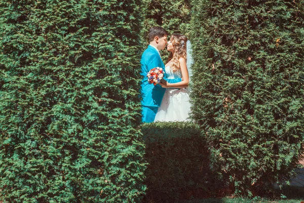 Summer wedding ceremony — Stock Photo, Image