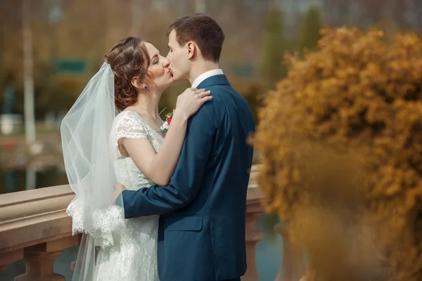 Newlyweds are kissing in a park — Stock Photo, Image