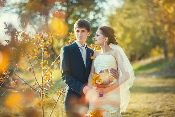 Beautiful newlywed couple — Stock Photo, Image