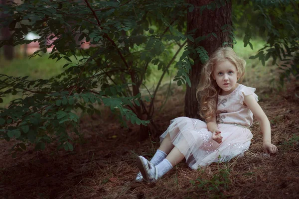 Nettes Kleines Mädchen Schicken Kleid Sitzt Park Neben Einem Baum — Stockfoto