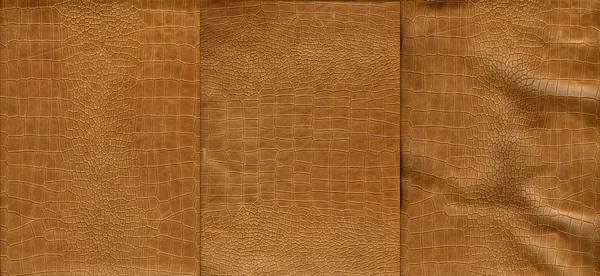 Conjunto de textura de piel de cocodrilo marrón claro — Foto de Stock