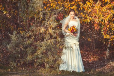 Sonbahar parkta duran gelin