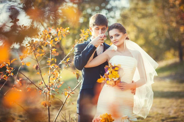 Groom kissing hand of bride — Stock Photo, Image