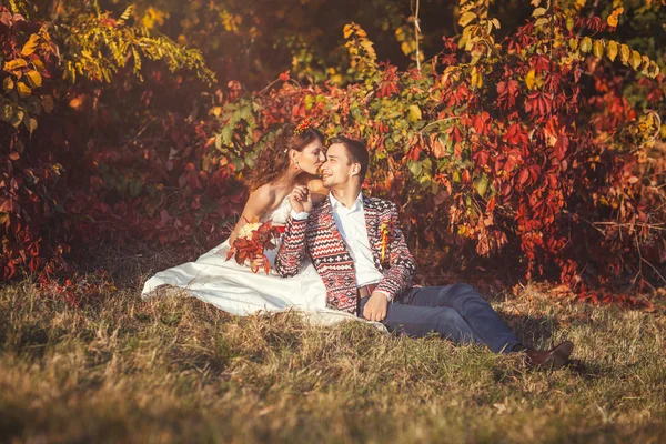 Recém-casados abraçando sentado na grama perto da árvore — Fotografia de Stock